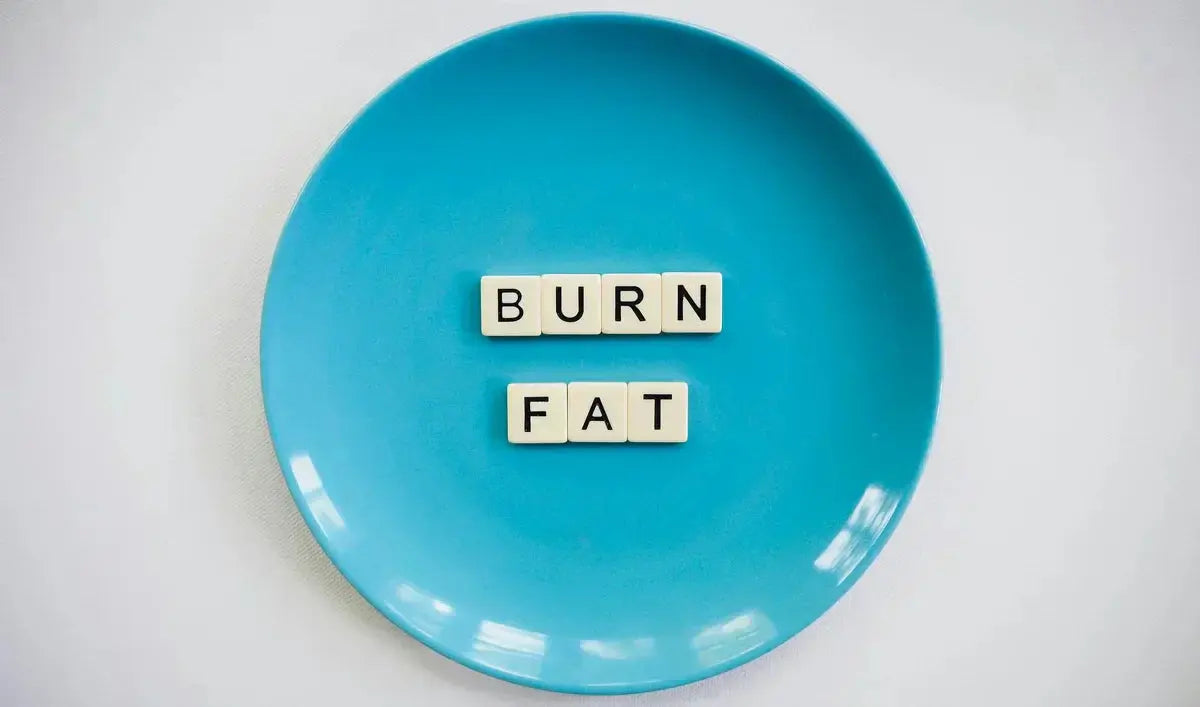 Burn Fat