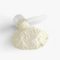 Focus Powder (Sour Candy) – Cognitive Support with Alpha-GPC, L-Theanine & Natural Caffeine, Nootropics Origin Apex